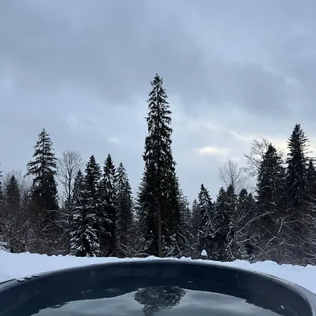Chalet Foxslid