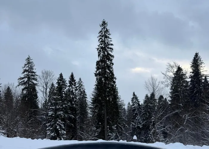 Alpstuga Foxslid